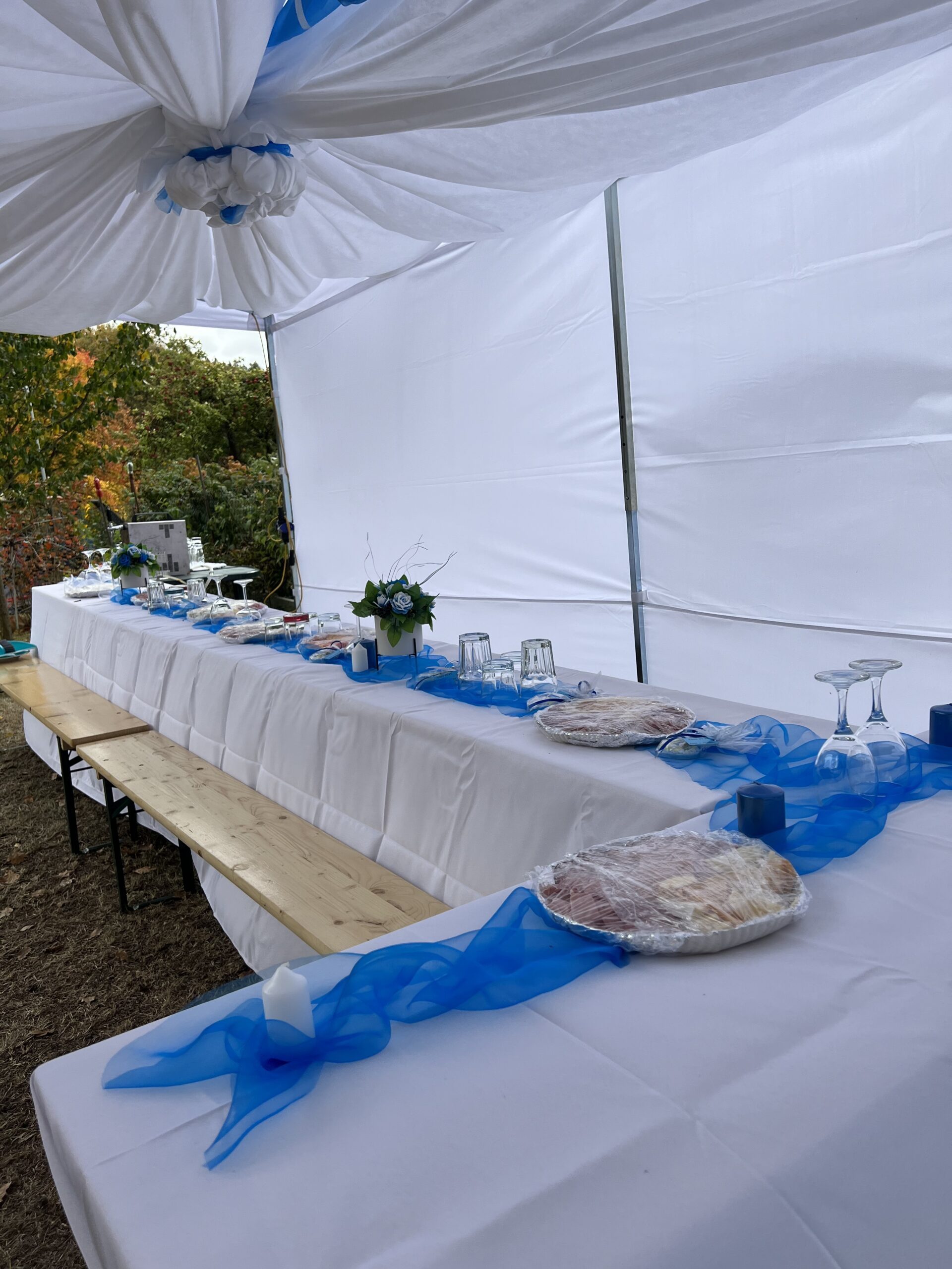 CAD94444-AA31-47C8-8EB0-FCE68B24FD41