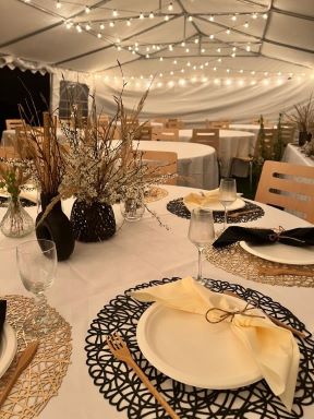 Obrázek WhatsApp, 2024-04-26 v 10.05.47_c847fc6e AAA